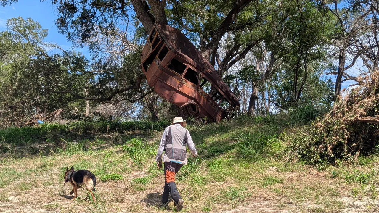 A handler and dog moving through flood-damaged woodland.